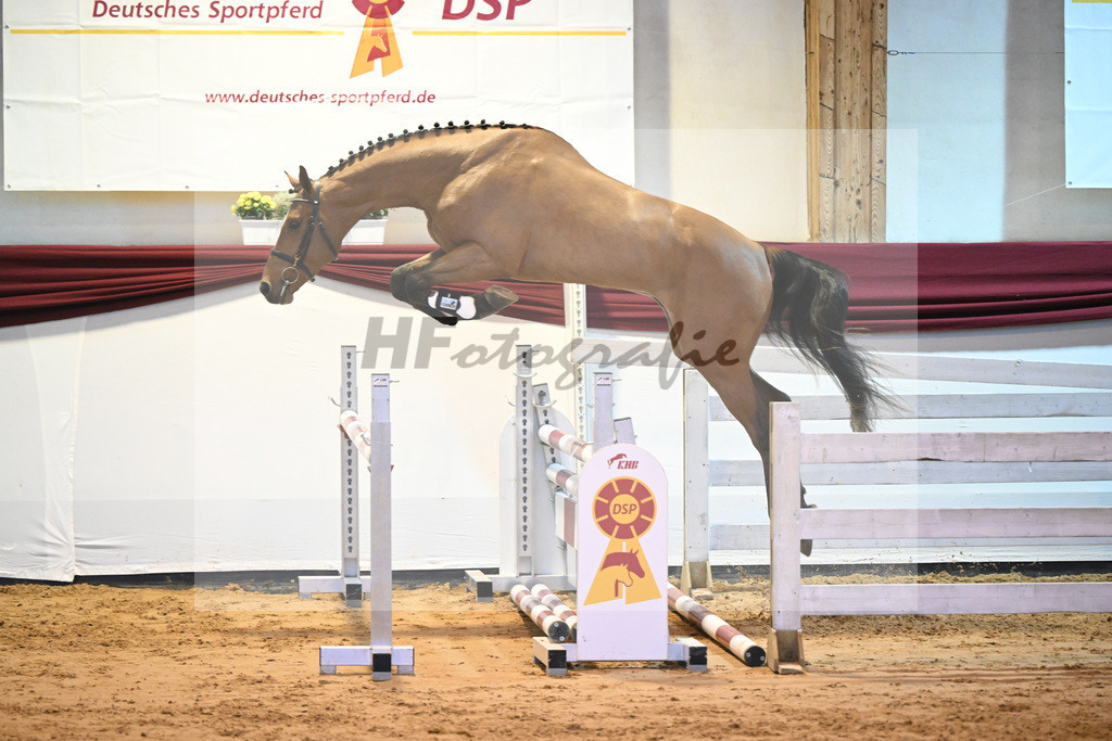 Kat-Nr. 53 v. Vingino_Bachl_66221186 | hf-fotografie - Realisiert mit Pictrs.com