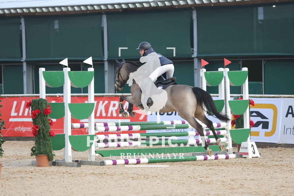 0P6A9472 | Willkommen bei Brunnmayr - Design & Fotografie – Ihrem Spezialisten für Reitturniere und Pferdeveranstaltungen in Oberösterreich, Salzburg und Bayern! Seit über 17 Jahren sind wir leidenschaftlich dabei.