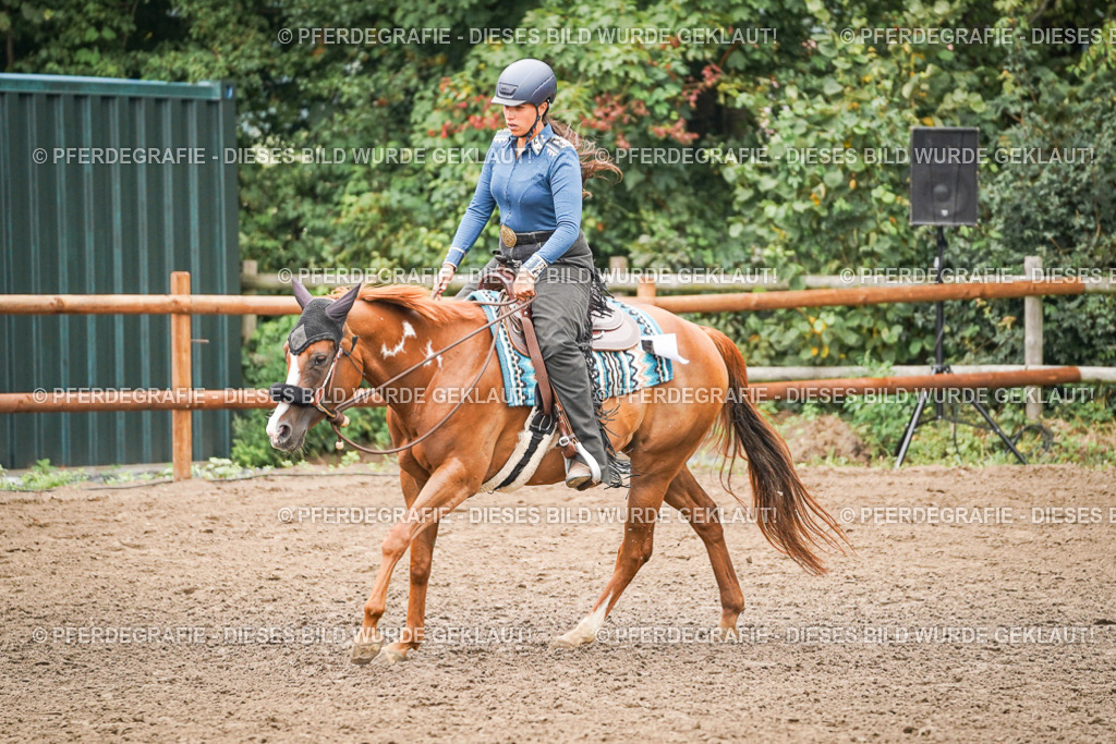 DSC02352 | Pferdegrafie