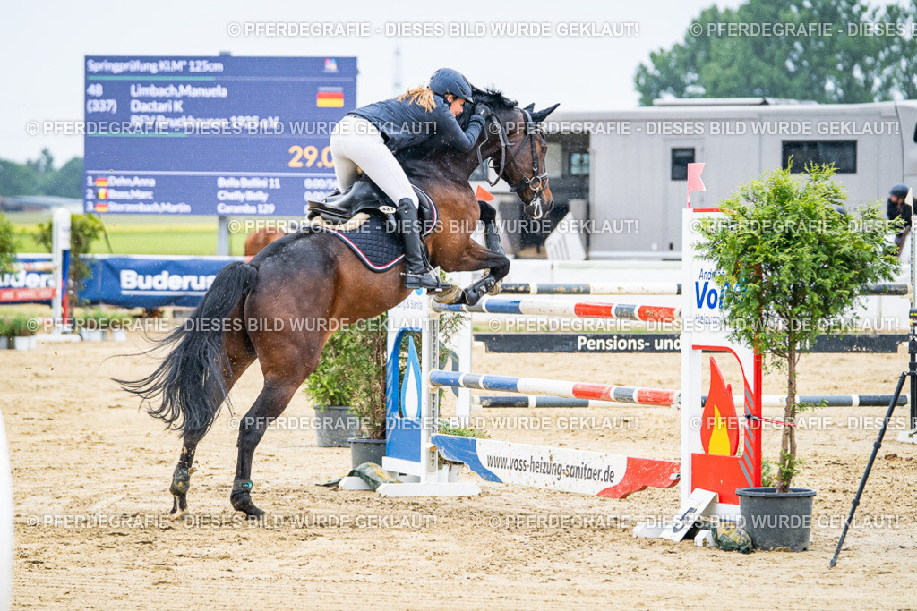 DSC08151 | Pferdegrafie