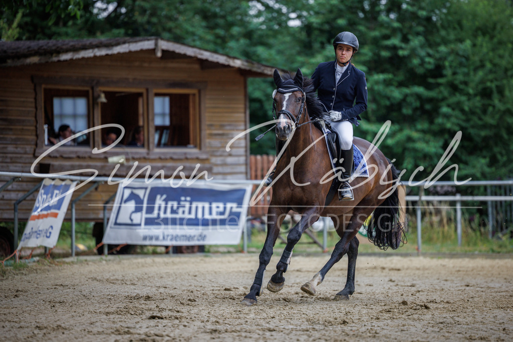 20260705-_3LI3611 | Tierfotografie Pferde, Hunde, Katzen, Haustiere.
Turnierfotografie Reitturniere, Reiten, Springreiten, Dressur in Hanau, dem Main-Kinzig-Kreis und dem Rhein-Main- Gebiet um Frankfurt