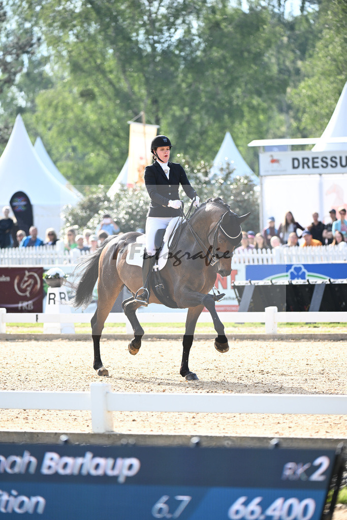 Barlaup_Allerupgaards Spiderman_12241409 | hf-fotografie - Realisiert mit Pictrs.com