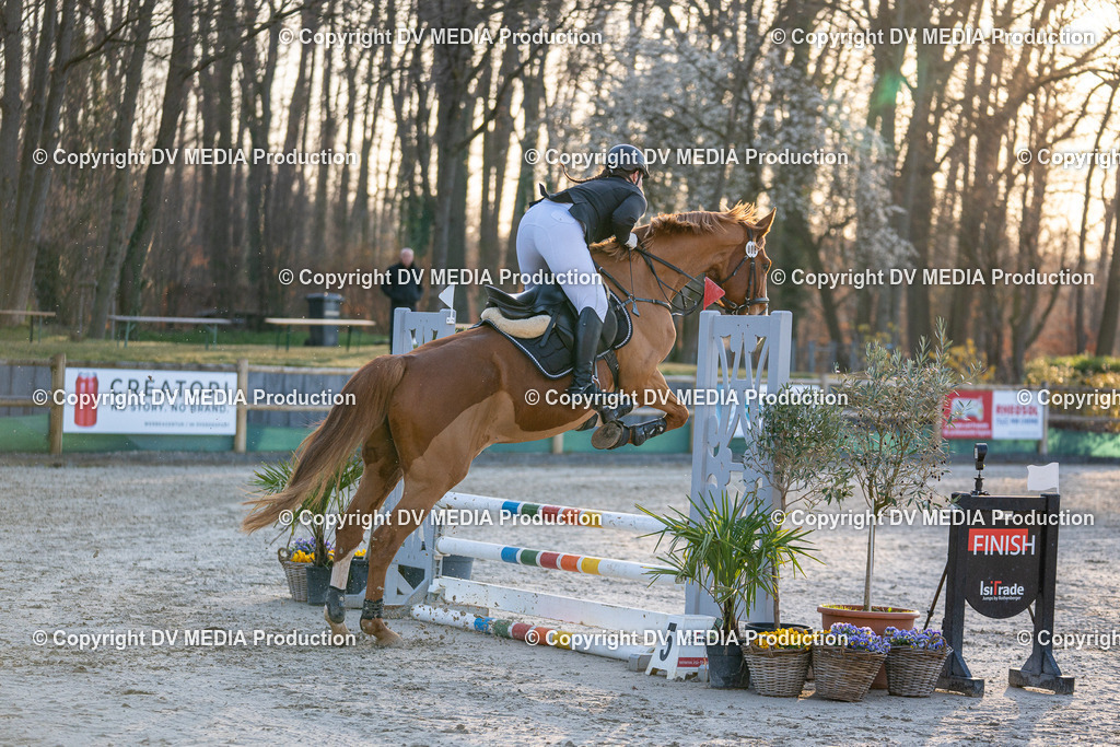 DSC-258 | dv-media-shop - Realisiert mit Pictrs.com