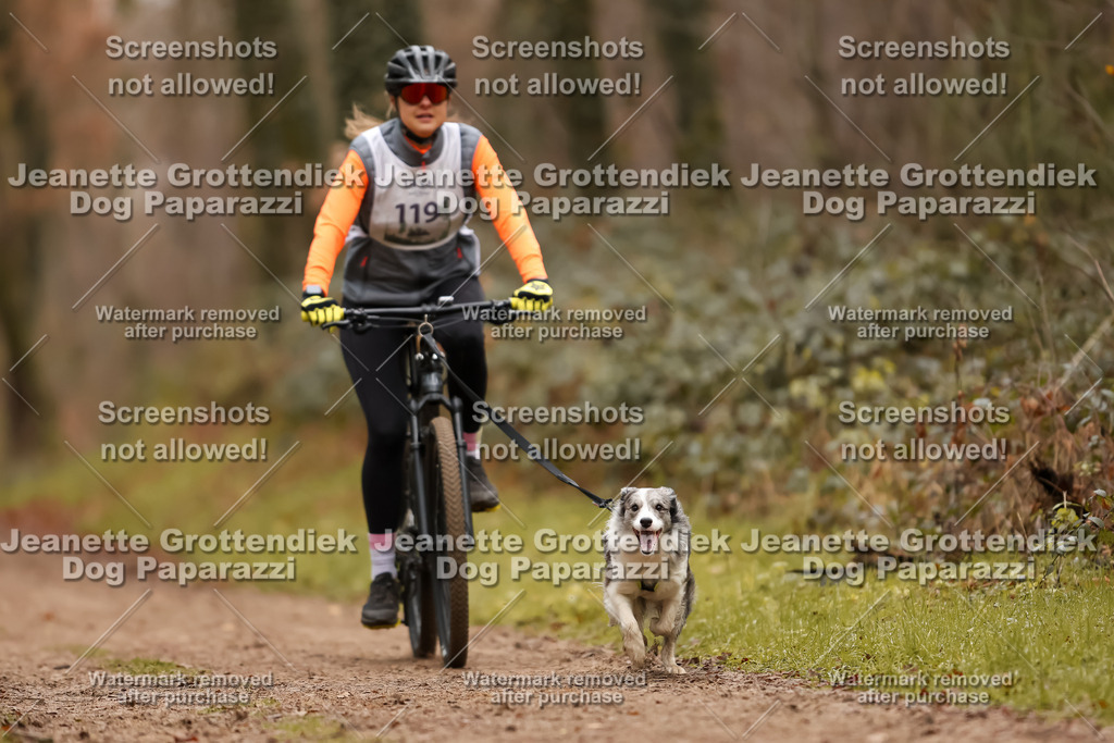 Dog Paparazzi - Speedhunter Mannheim  2025-328 | Dog Paparazzi Jeanette Grottendiek Fotografie & Videografie