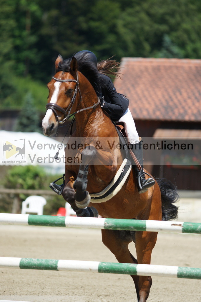 DSC00770 | equestrian-live-com