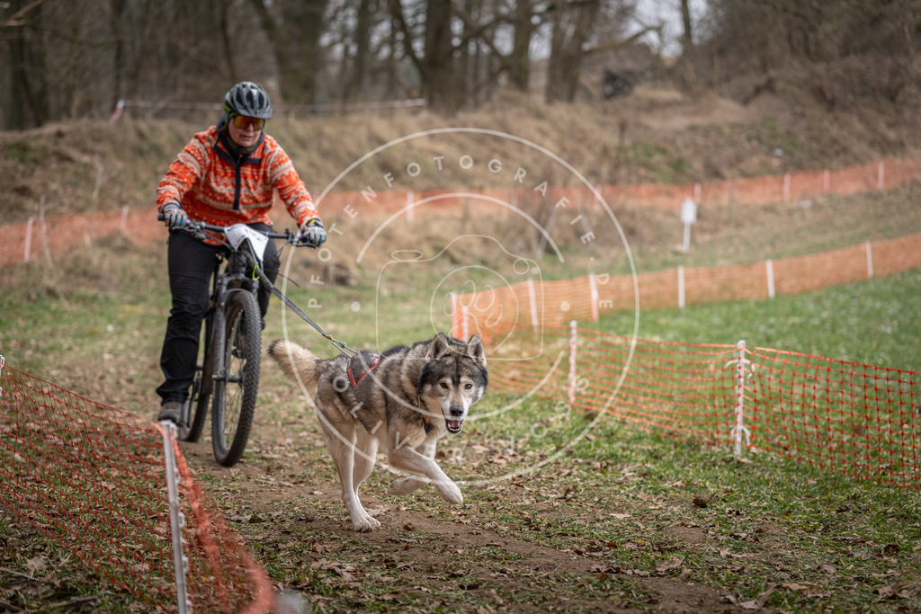 Pfotenfotografie_DV3A6314 | Hundefotografie, Tierfotograf, Pfotenfotografie, Fotoshooting Hund, Hunde Portrait, Hundesport, Hundeportraits, Heideshooting, Hunde, Sportfotograf, Hundefotograf, Turnierhundsport, THS,  - Realisiert mit Pictrs.com