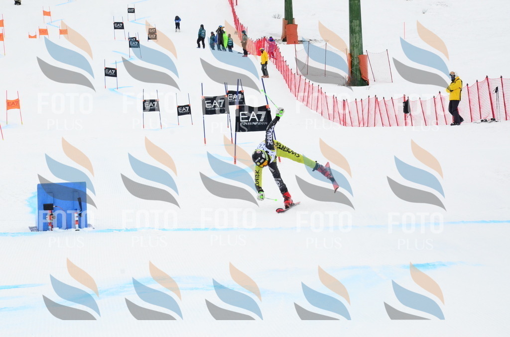 _ELE3981 | holidayphoto