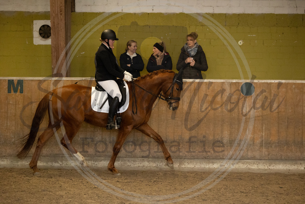 994A9371 | sabrinanicolaifotografie - Realisiert mit Pictrs.com