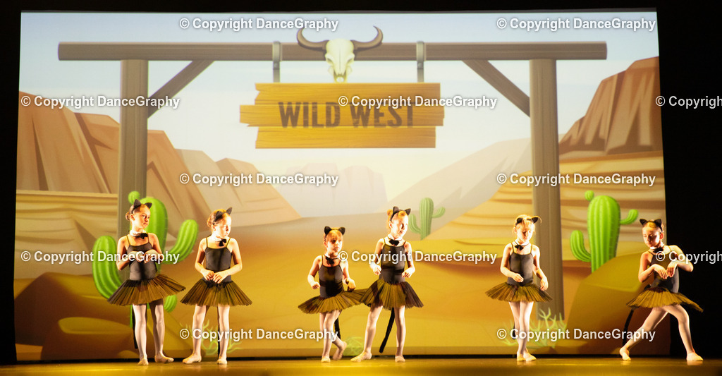 GPHY4242 | DanceGraphy - Realisiert mit Pictrs.com