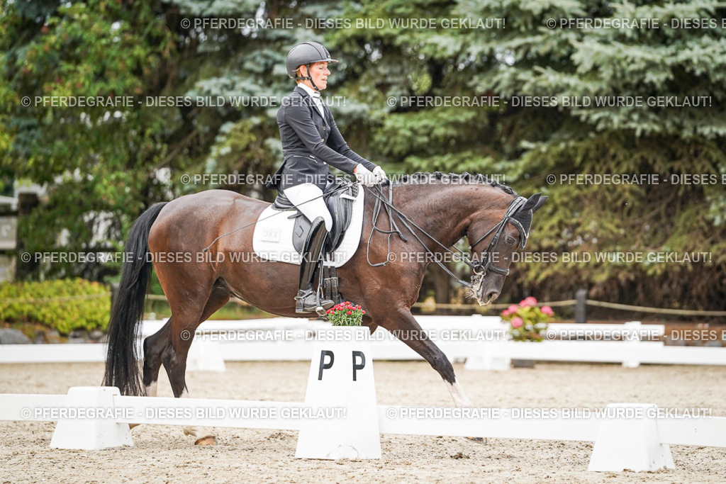 DSC07588 | Pferdegrafie