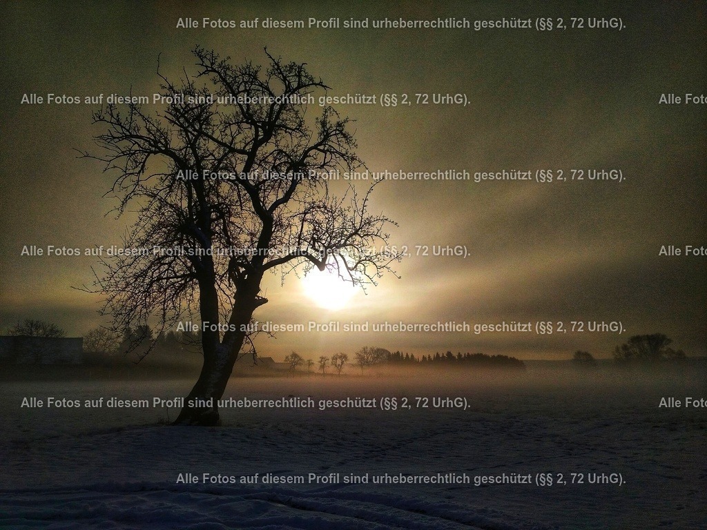 IMG_20170117_0932256 (1)-01-01 | krollfotografie - Realisiert mit Pictrs.com