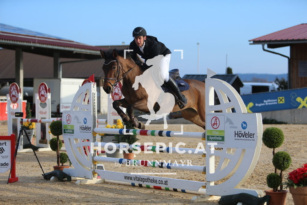 DL2Q8018 | Willkommen bei Brunnmayr - Design & Fotografie – Ihrem Spezialisten für Reitturniere und Pferdeveranstaltungen in Oberösterreich, Salzburg und Bayern! Seit über 17 Jahren sind wir leidenschaftlich dabei.