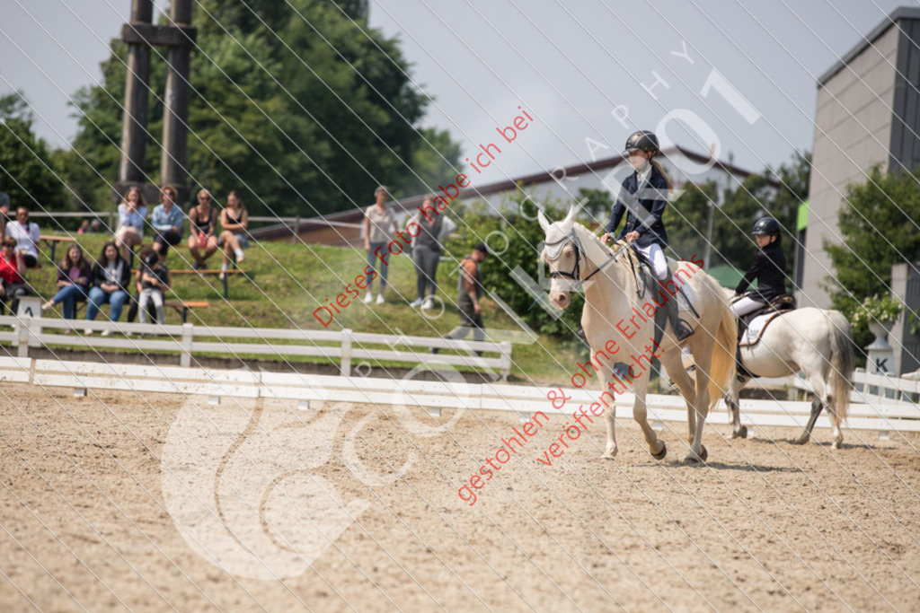 IMG_3792 | Sport-, Event- und Tierfotos in Profiqualität. Einfach auswählen, bestellen und herunterladen. Dein Moment – perfekt festgehalten.