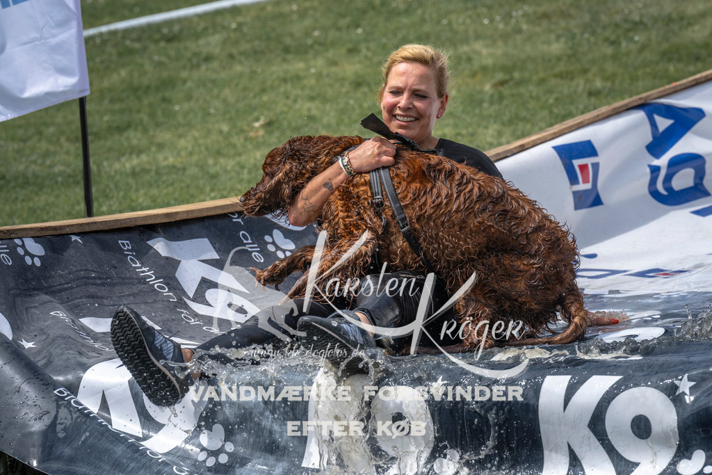 1259_ZZ99582 | kk-dogfotos