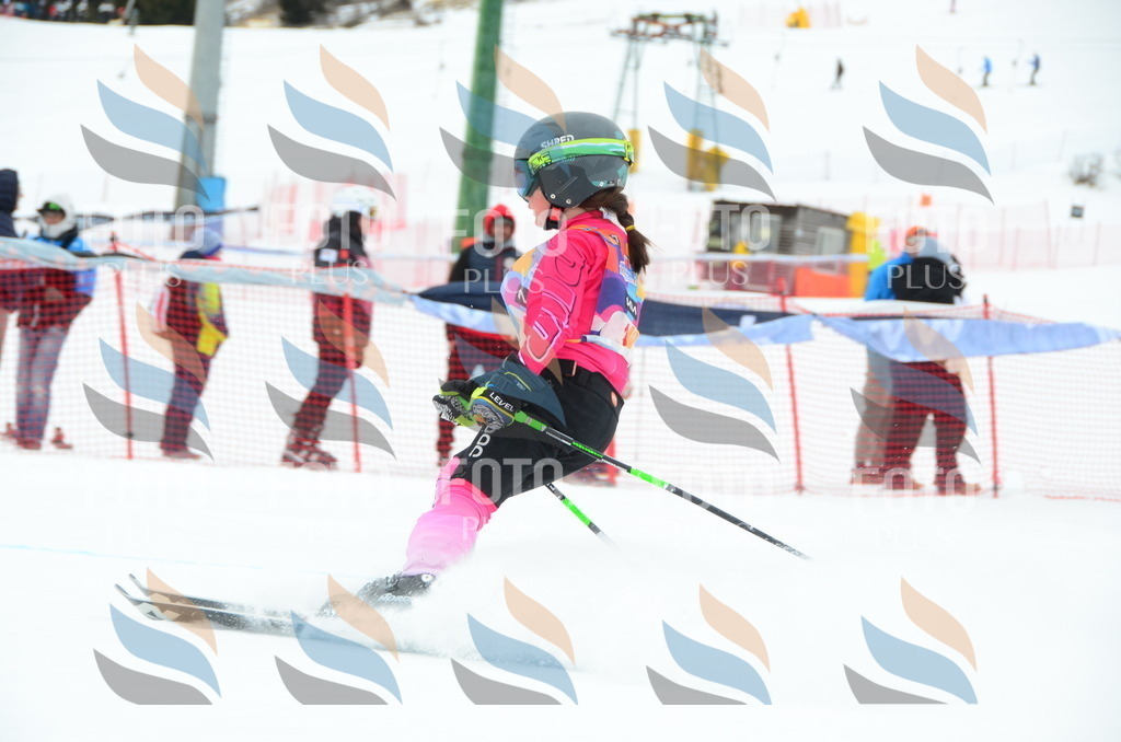 DSC_0662 | holidayphoto