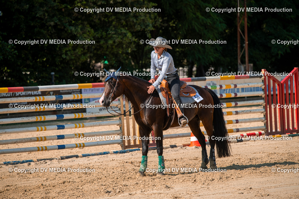 ZS2_8804 | dv-media-shop - Realisiert mit Pictrs.com