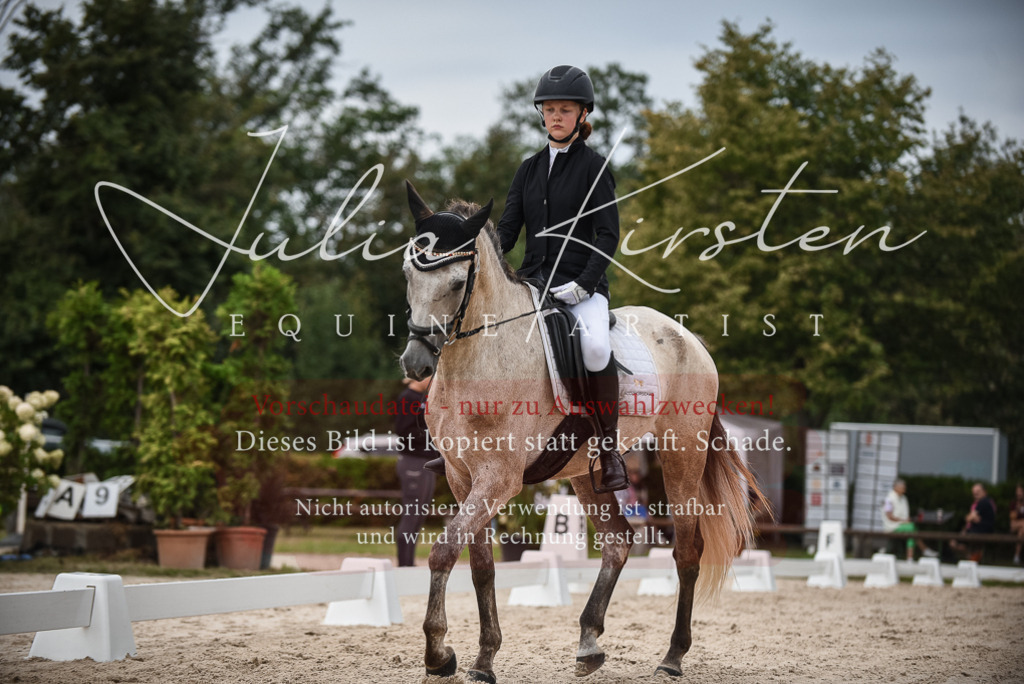 DSC_8208 | Pferde- und Turnierfotografie in Westsachsen. Pferdeportraits, Auftragszeichnungen und intuitive Kunst.