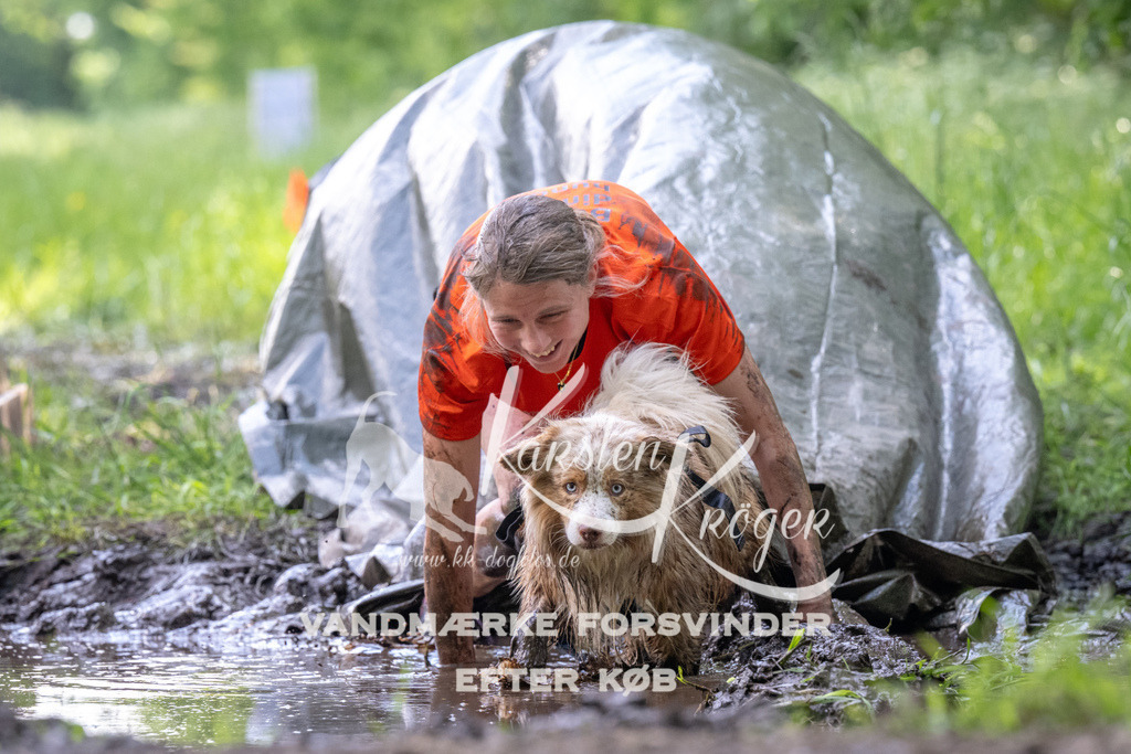 1204_ZZ91193 | kk-dogfotos