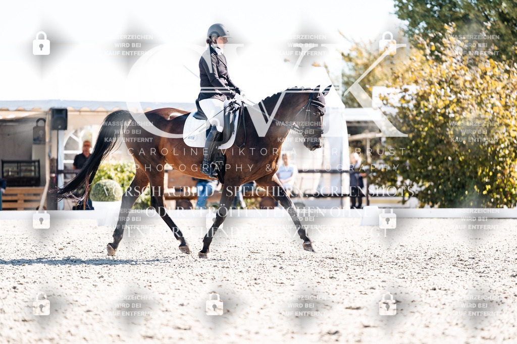 CK908707 | Turnierfotografie Pferdefotografie Trier Rheinland-Pfalz Pferdesport Reitsport Tierfotografie Sportfotografie Pferdevideo Pferdevideografie Equestrianvideography equestrianphotography  - Realisiert mit Pictrs.com