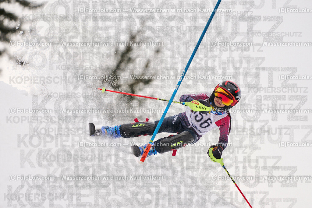 ALP4583_KinderCup-SL_STMK_Strallegg_Feichtenhofer Marlene | Raiffeisen KINDERCUP Alpin, SLALOM auf der JogllandStreif in Strallegg am So 23. Februar 2025. Veranstaller: Steirischer Skiverband (5000). Skiunion Strallegg (5197).