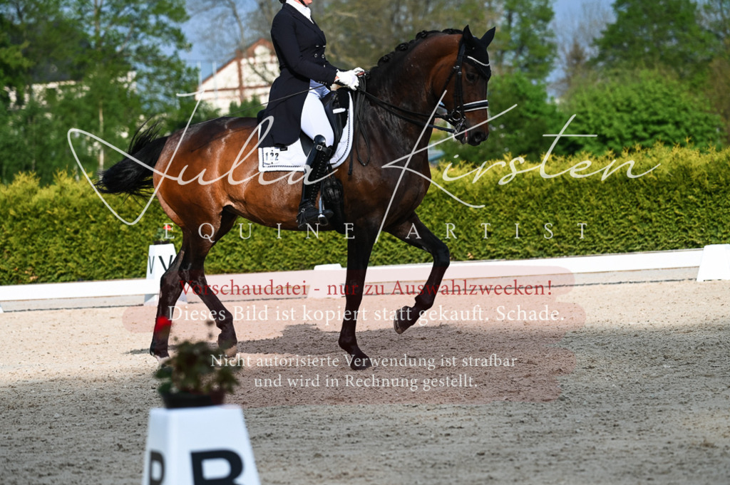 20230513_JK-Röhrsdorf-13-059 | Pferde- und Turnierfotografie in Westsachsen. Pferdeportraits, Auftragszeichnungen und intuitive Kunst.