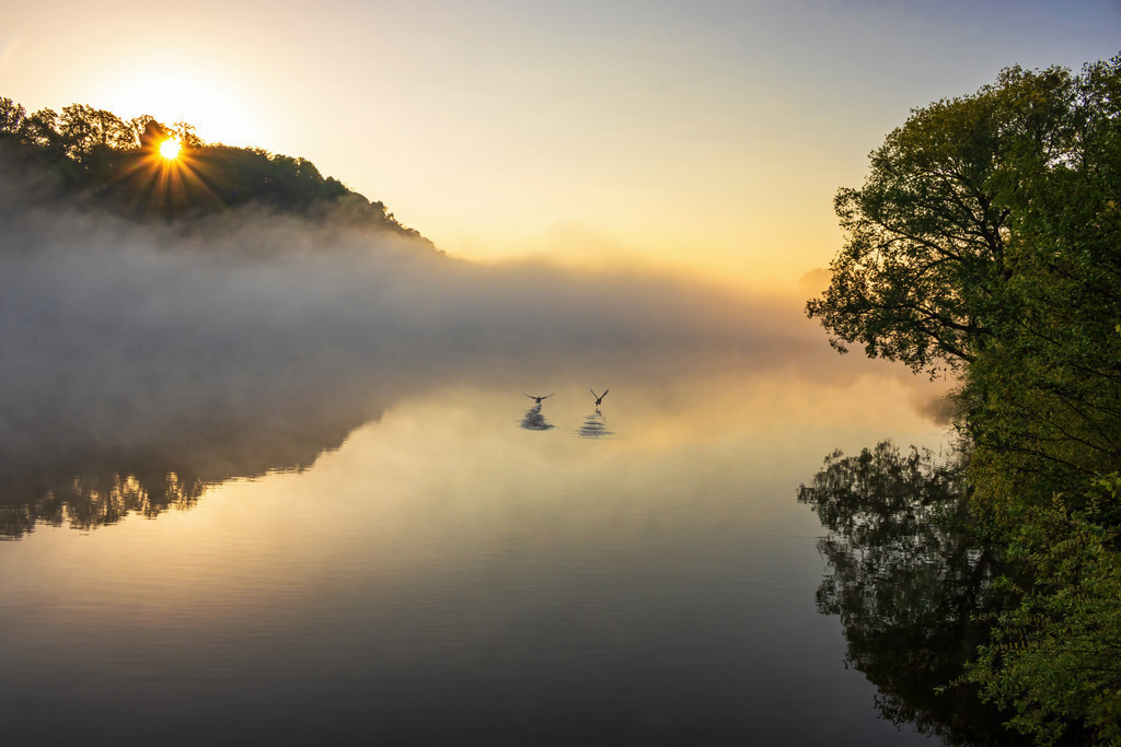 Wandbild - Zauberhafter Morgentanz | Ein malerischer Sonnenaufgang über einem ruhigen See, der von einem zarten Nebelschleier bedeckt ist. Die Sonne bricht gerade über den bewaldeten Hügeln am linken Bildrand durch und taucht die Szenerie in ein sanftes, goldenes Licht. Zwei Vögel fliegen knapp über der Wasseroberfläche, deren Spiegelung die Ruhe und Friedlichkeit der Szene verstärkt. Auf der rechten Seite des Bildes ragen grüne Bäume ins Bild und spiegeln sich ebenfalls im stillen Wasser des Sees.