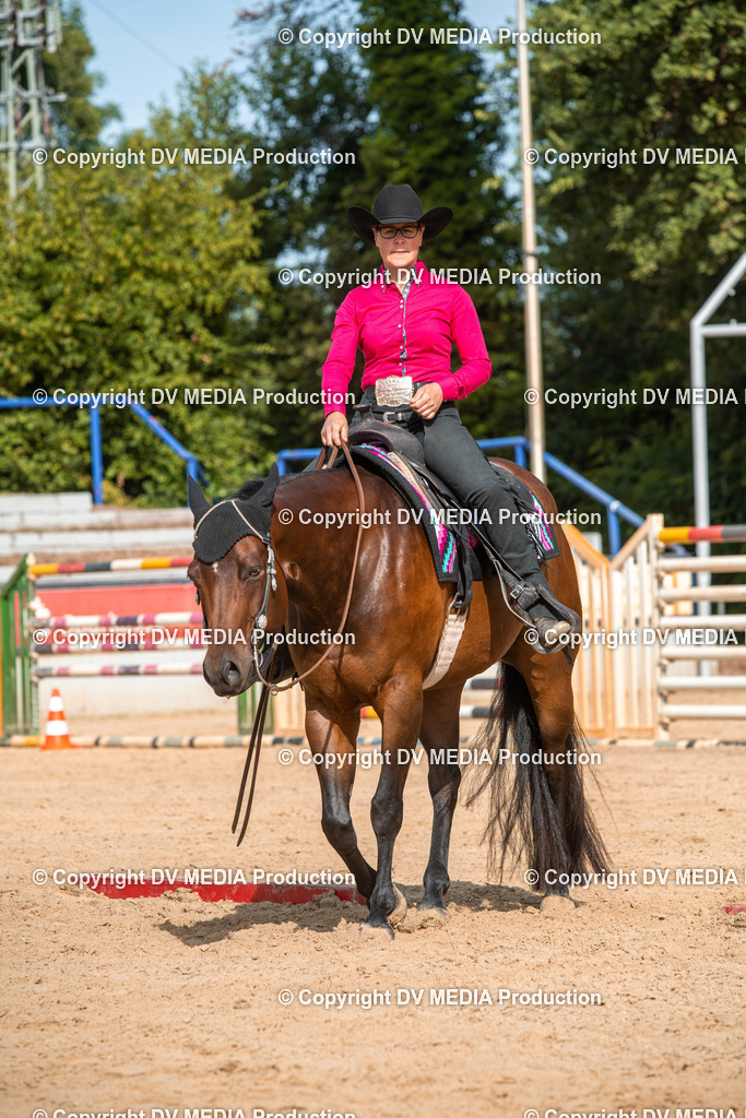 EWP_5796 | dv-media-shop - Realisiert mit Pictrs.com