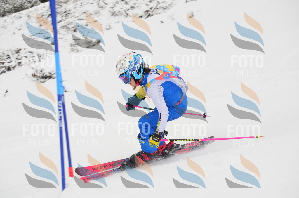 C1330 | holidayphoto