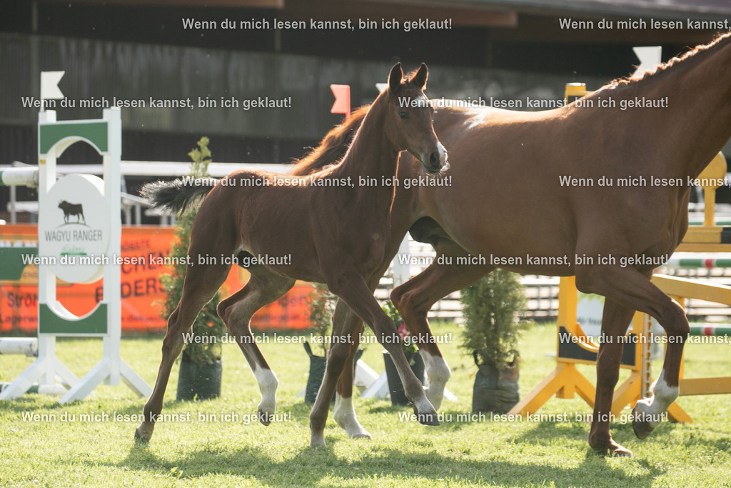 598A7055 | photographylinaismer - Realisiert mit Pictrs.com