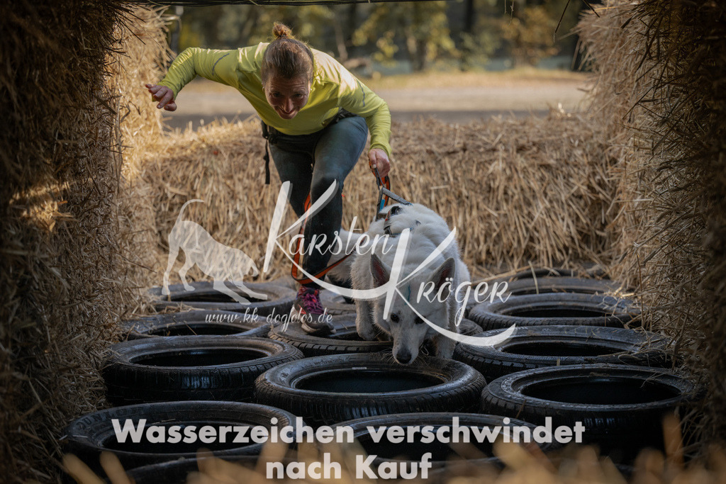 1032_ZZ98691 | kk-dogfotos