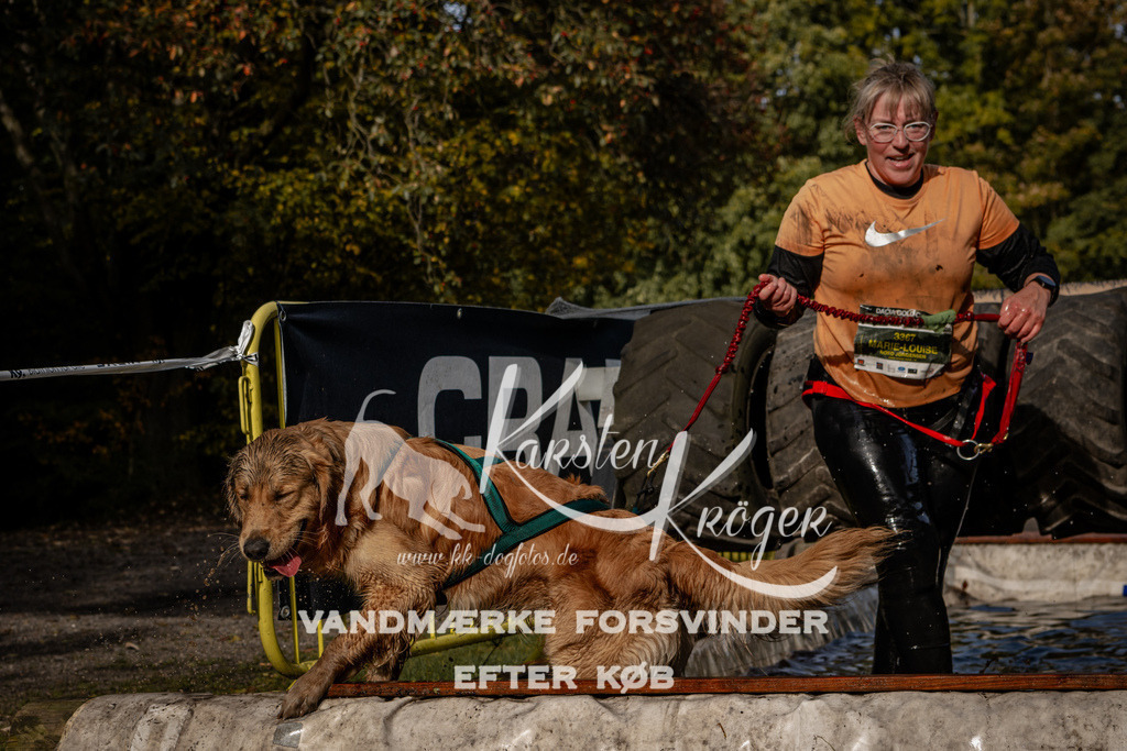 1330_ZZ92757 | kk-dogfotos