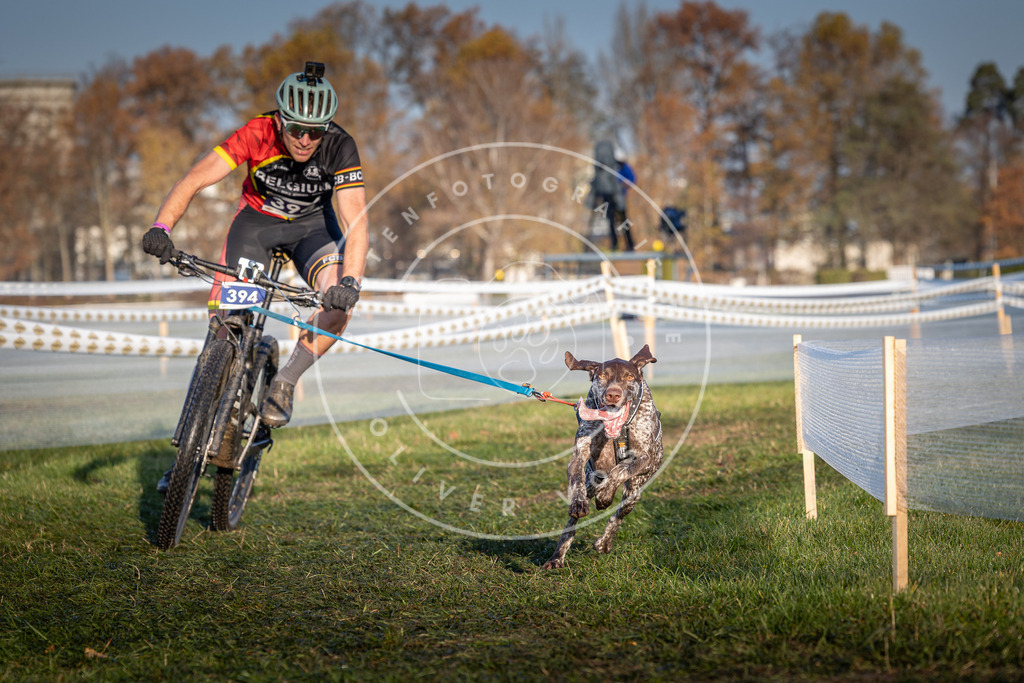 CaniXpix_0L8A3880 | Hundefotografie, Tierfotograf, Pfotenfotografie, Fotoshooting Hund, Hunde Portrait, Hundesport, Hundeportraits, Heideshooting, Hunde, Sportfotograf, Hundefotograf, Turnierhundsport, THS,  - Realisiert mit Pictrs.com
