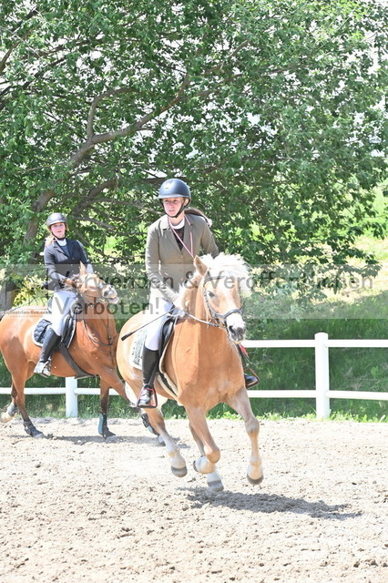 DSC_9448 | equestrian-live-com