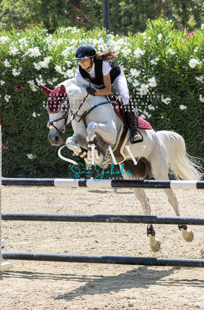 IMG_7973 | s-jay-photography - Realisiert mit Pictrs.com