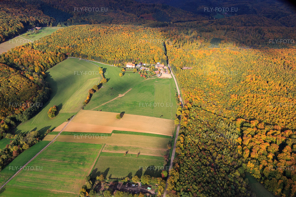 Vue aérienne: Ferme Mellon et Villa Le Riesack à Niederbronn-les-Bains dans le département Bas Rhin, France – .Photo: IMG_084712.jpg prise le 23/10/2015 par Werner Riehm/FLY-FOTO.eu – Résolution de l'original: 5472 x 3648 px – Ferme Mellon - Restaurant et chambres d'hôtes – Gite de groupe en Alsace. Fetes de famille. Villa le Riesack. Capacit\xc3\xa9: 30 \xc3\xa0 50 Personnes