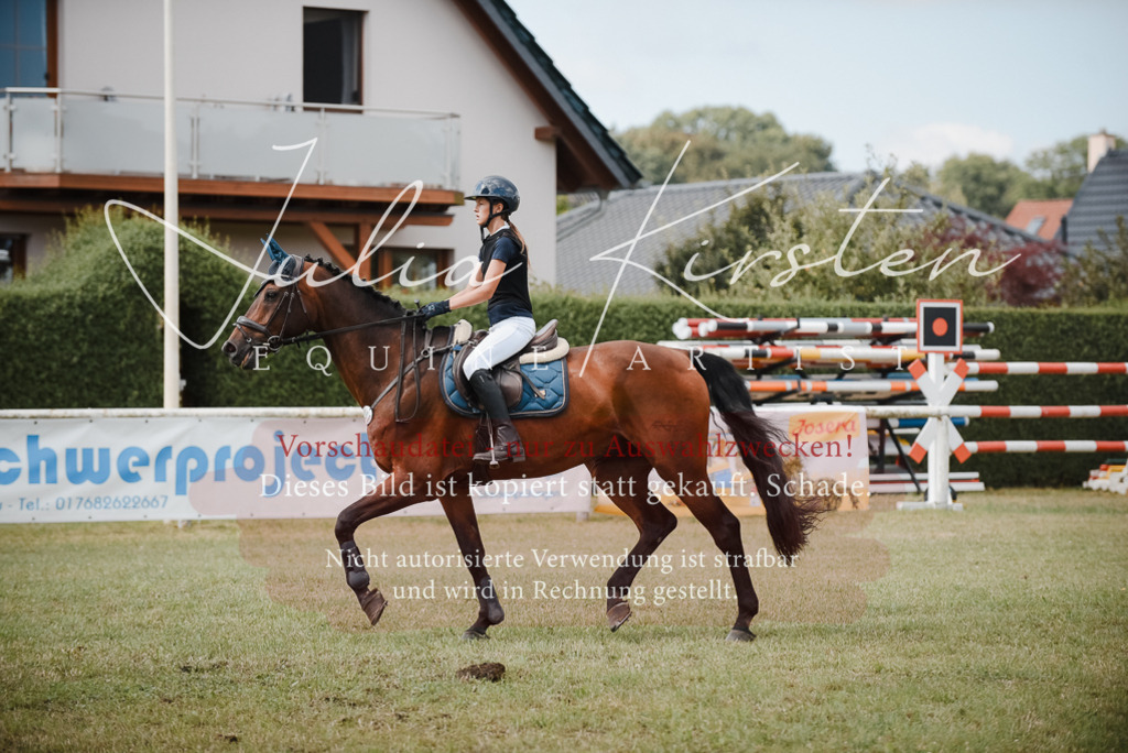DSC_5504 | Pferde- und Turnierfotografie in Westsachsen. Pferdeportraits, Auftragszeichnungen und intuitive Kunst.