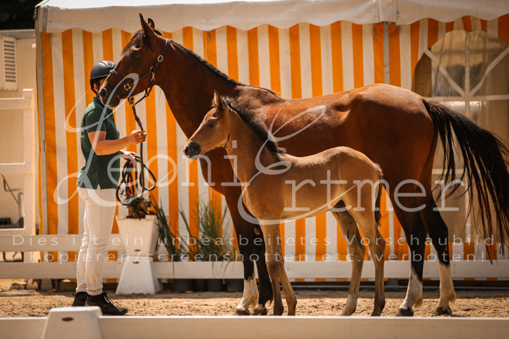 03.DoAB00004 | Leoni Ertmer Photography - Realisiert mit Pictrs.com