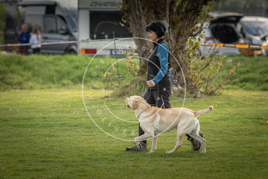 Pfotenfotografie_DV3A4916 | Hundefotografie, Tierfotograf, Pfotenfotografie, Fotoshooting Hund, Hunde Portrait, Hundesport, Hundeportraits, Heideshooting, Hunde, Sportfotograf, Hundefotograf, Turnierhundsport, THS,  - Realisiert mit Pictrs.com