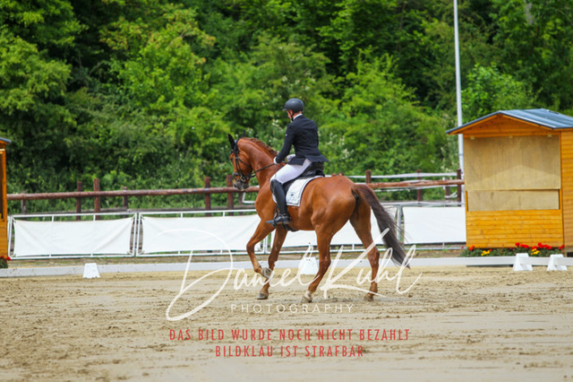 DKP46214 | Turniersportfotografie; Pferdefotografie; Dressurfotografie