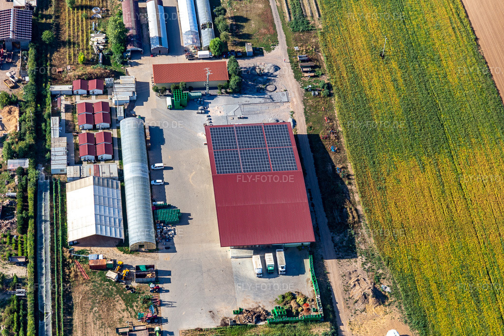 Luftbild: Biohof Kugelmann in Kandel im Bundesland Rheinland-Pfalz in Deutschland. Foto: IMG_134024.jpg vom 21.08.2022 durch Werner Riehm/FLY-FOTO.dePfalzBio