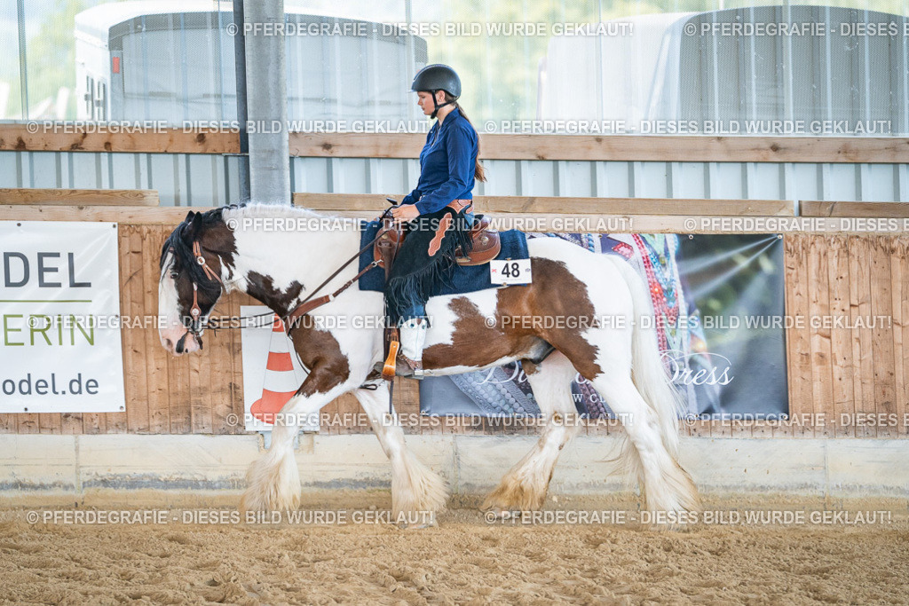 DSC03545 | Pferdegrafie