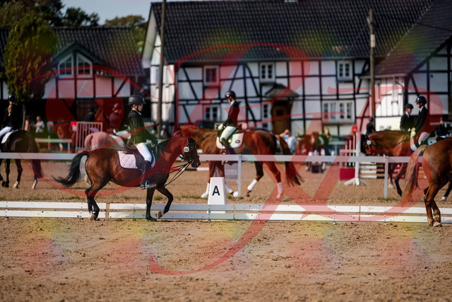 2026_10_03_Siefer-Hof_122040_Z63_43666622 | Professionelle Reitsport-, Turnier- und Eventfotografie von Robert Broda. Galerien mit ausgewählten und bearbeiteten Bildern direkt online ansehen und bestellen.