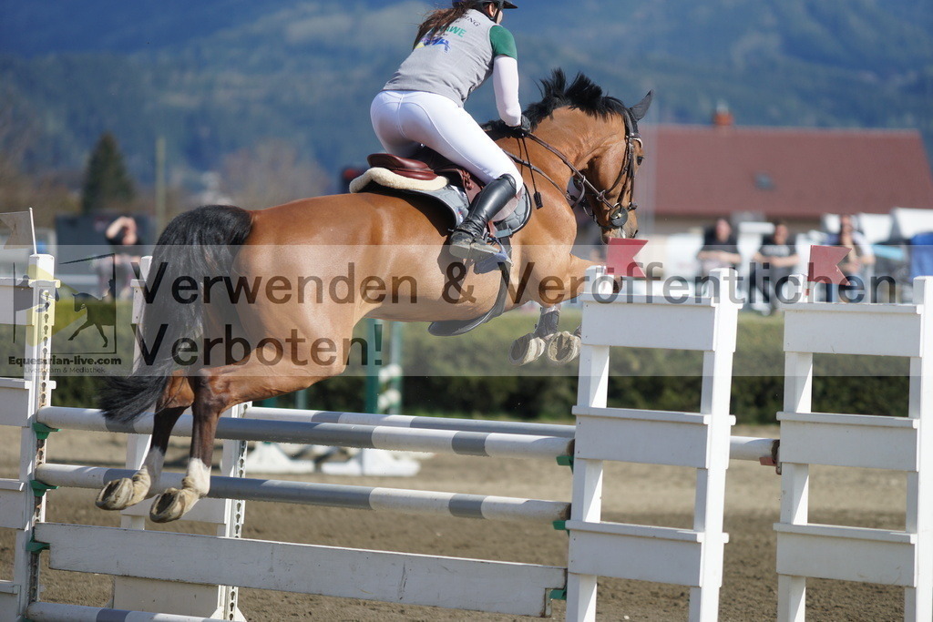 DSC03227 | equestrian-live-com