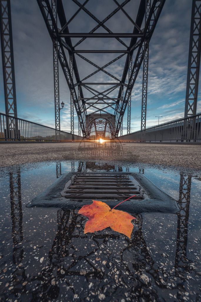 Herbst Elbbrücke Blatt | Exklusive Hamburg collagen, tolle Segelbilder und viele weitere tolle Motive auf Leinwand, Poster, Alu-Dibond, u.v.m. findet Ihr bei uns auf hamburgbild.de. Findet Euer Wandbild für Euer Zuhause, Büro oder die  Praxis…. - Realisiert mit Pictrs.com