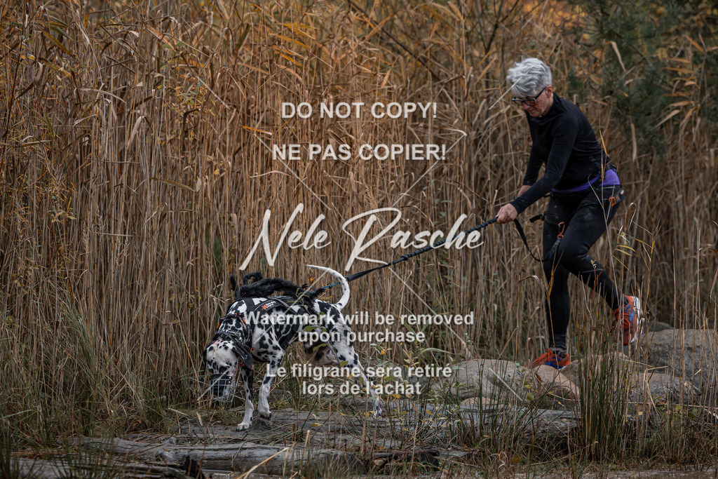 nelerasche_Creepy2025_So1200-Ende_95 | nelerasche