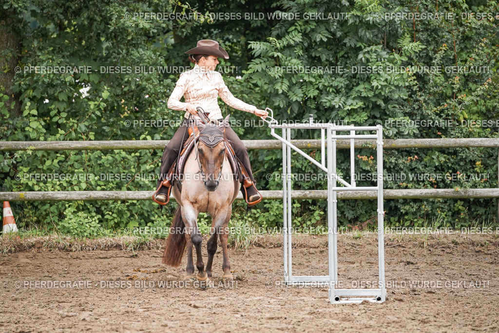 DSC03066 | Pferdegrafie