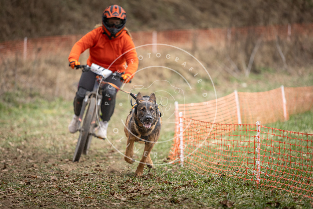Pfotenfotografie_DV3A5410 | Hundefotografie, Tierfotograf, Pfotenfotografie, Fotoshooting Hund, Hunde Portrait, Hundesport, Hundeportraits, Heideshooting, Hunde, Sportfotograf, Hundefotograf, Turnierhundsport, THS,  - Realisiert mit Pictrs.com