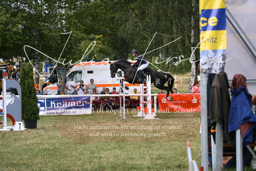 DSC_0811 | Pferde- und Turnierfotografie in Westsachsen. Pferdeportraits, Auftragszeichnungen und intuitive Kunst.