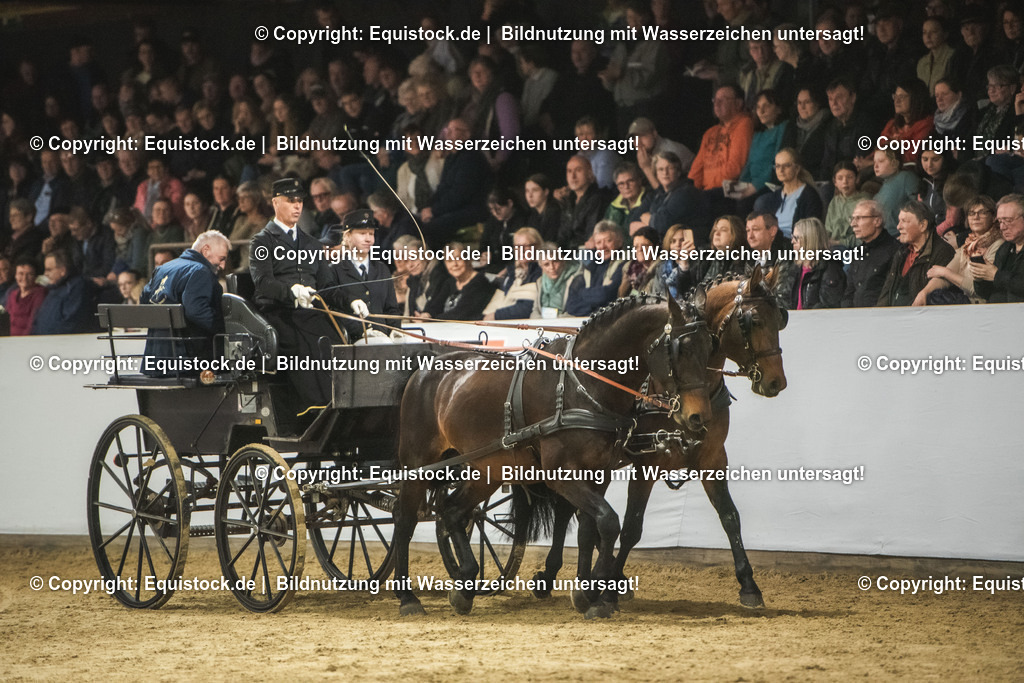 20240302_Hengstvorstellung_Marbach_TOMsPiC_0784 | equistock