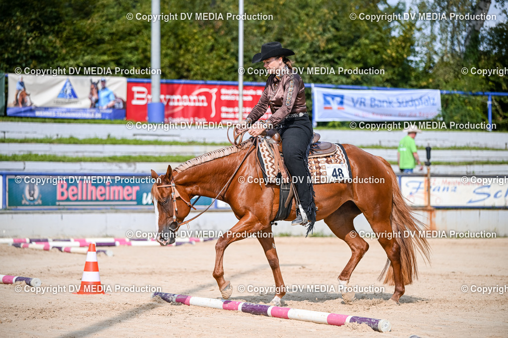 ZS2_3498 | dv-media-shop - Realisiert mit Pictrs.com